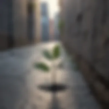 A vibrant plant growing through cracks in concrete, representing resilience