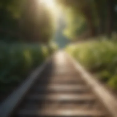 Pathway to Success Lit by Sunlight Pathway leading towards success illuminated by sunlight