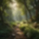 A serene landscape with soft sunlight filtering through trees, evoking tranquility.