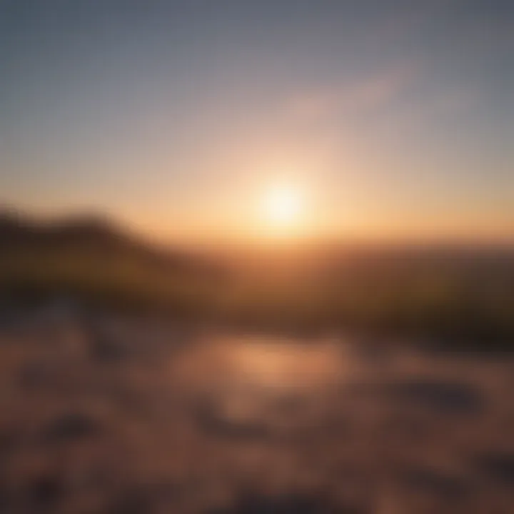 A sunrise over a horizon, symbolizing new beginnings and hope