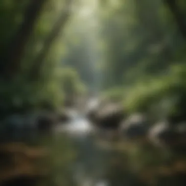 Tranquil Nature Scene A serene landscape with flowing water and lush greenery, embodying tranquility.
