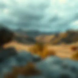 A serene landscape symbolizing personal growth