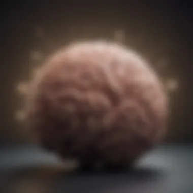 The Power of Emotional Intelligence A brain illustration symbolizing emotional intelligence