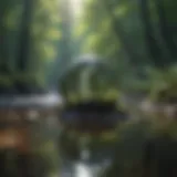 A serene landscape reflecting tranquility and control