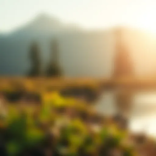 A serene nature scene showcasing tranquility and mindfulness.