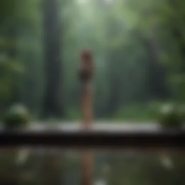 Emotional Balance Concept Visual representation of emotional balance