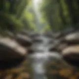 Serene landscape with flowing water promoting tranquility