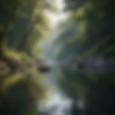 Serenity in Nature A tranquil landscape depicting serenity and peace.