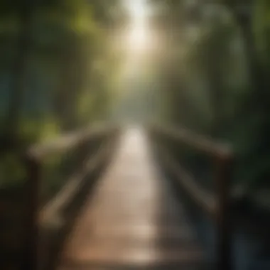 Journey of Healing A bridge illustrating the journey from hurt to healing