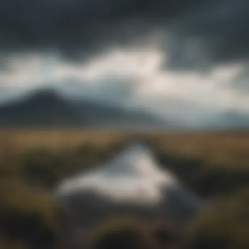 A reflective landscape under a cloudy sky, evoking a sense of melancholy.