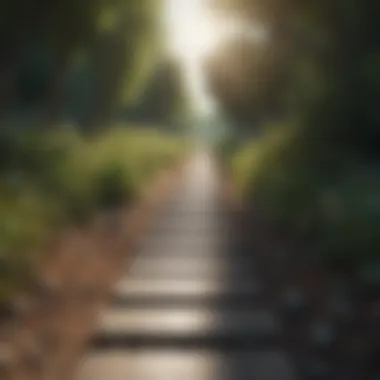 Pathway to Continuous Development A pathway leading toward a bright horizon representing continuous development