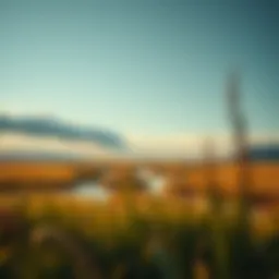 A serene landscape reflecting tranquility