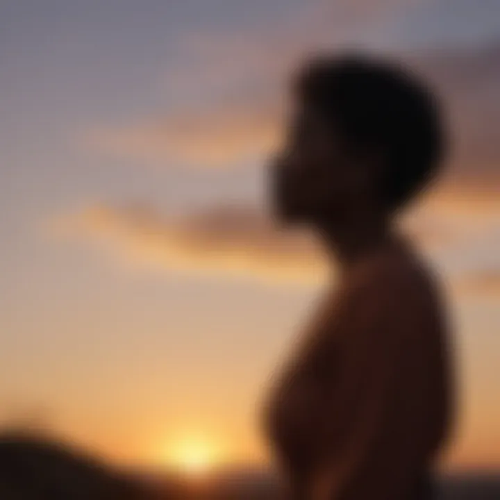 A silhouette of a person standing strong against a sunset