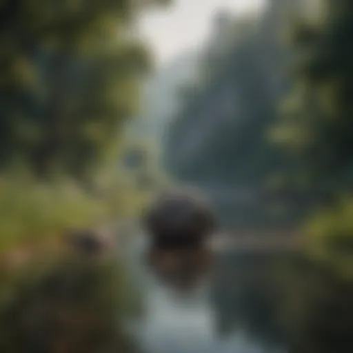 A serene landscape promoting mental peace