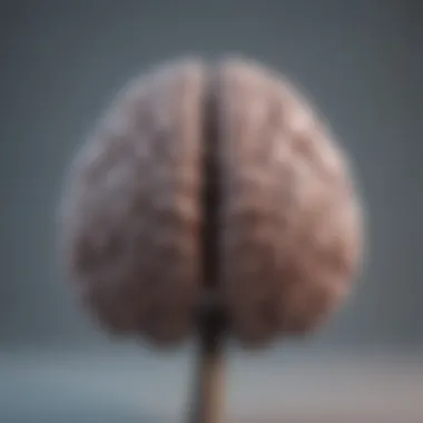 Mindfulness and Brain Connection An illustration of a brain with mindfulness symbols