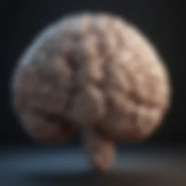 A close-up of a brain surrounded by calming elements, illustrating emotional intelligence