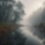 A serene landscape depicting a journey through fog, symbolizing doubt and introspection.