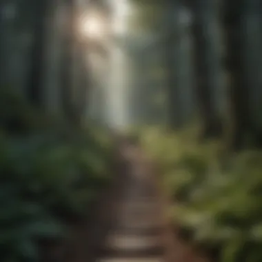 Navigating the Path to Self-Acceptance A path through a dense forest symbolizing the journey to self-acceptance