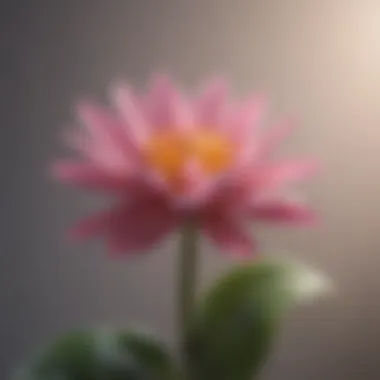 Growth and Self-Acceptance A blossoming flower representing growth and self-acceptance