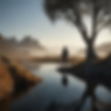 Contrast of Serenity and Inner Turmoil A serene landscape contrasting with a shadowy figure depicting inner turmoil.