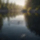 Calm water surface reflecting tranquility