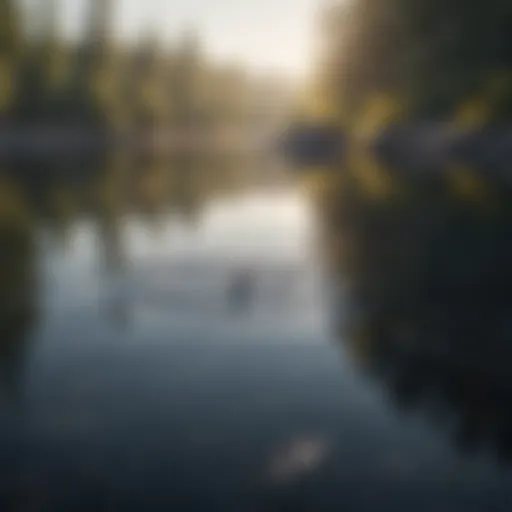 Calm water surface reflecting tranquility