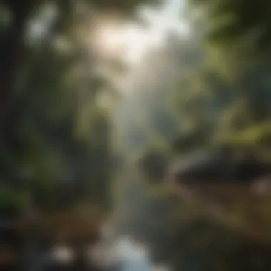 A tranquil scene of nature, conveying peace and support