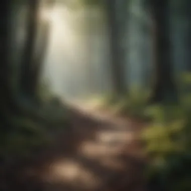 The Journey Within A path through a forest symbolizing the journey of self-discovery